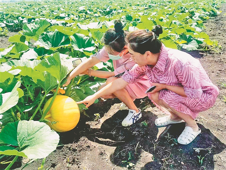 友谊“农业嘉年华”开园