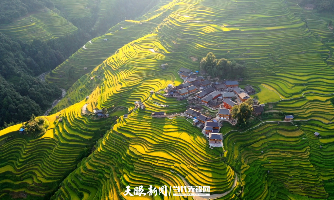 山水的记忆 生态的瑰宝｜贵州奋力推进世界自然遗产保护与发展