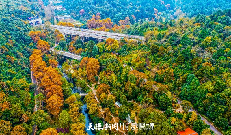 貴州：天藍水碧生態美