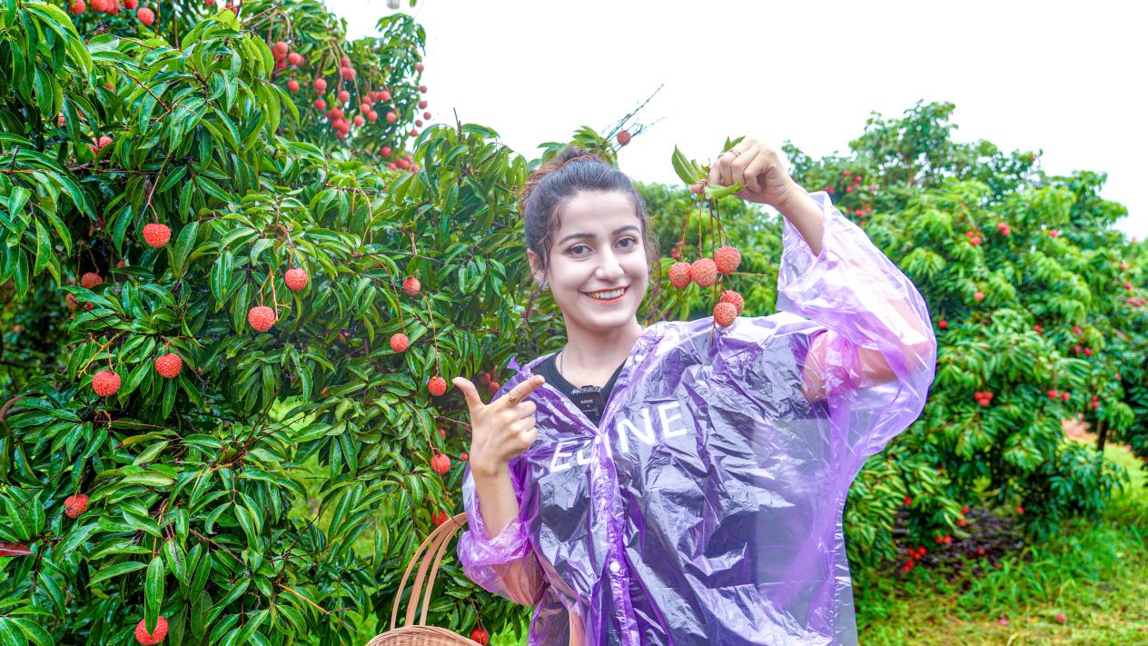 “雲説壯美 欽州正當紅”|土耳其網紅達人解鎖夏日美“荔”之旅_fororder_20230718_194200