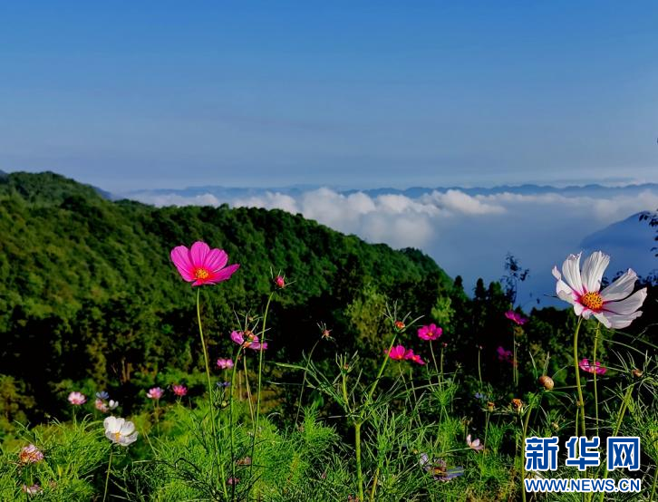 巴东秘境绿葱坡 夏日风光引游人