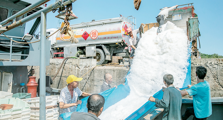 漳州東山：整裝待發迎開漁_fororder_WX20230816-093645@2x