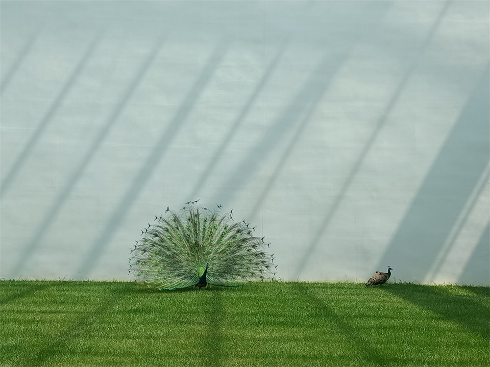 烟台：构建新型能源体系 打造绿色低碳样板城市