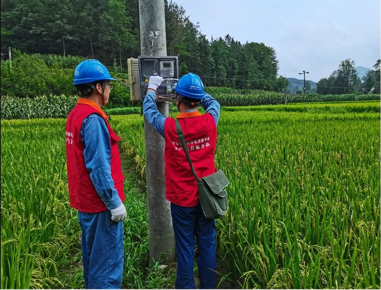 国网陕西电力：“红马甲”贴心服务 助力乡村振兴