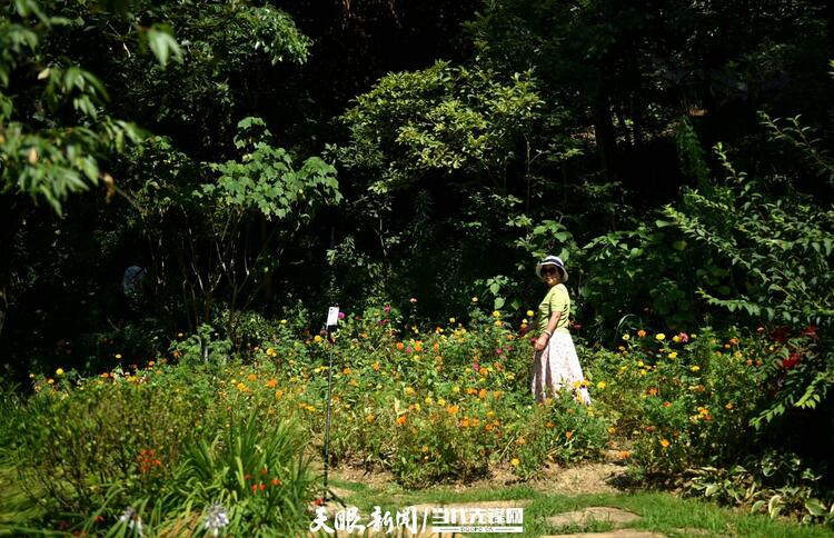 爽爽贵阳 盛夏诗意