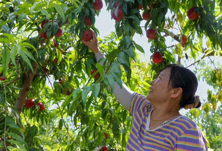 图片默认标题_fororder_002