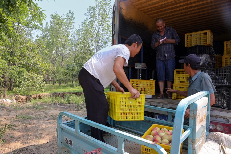 图片默认标题_fororder_007