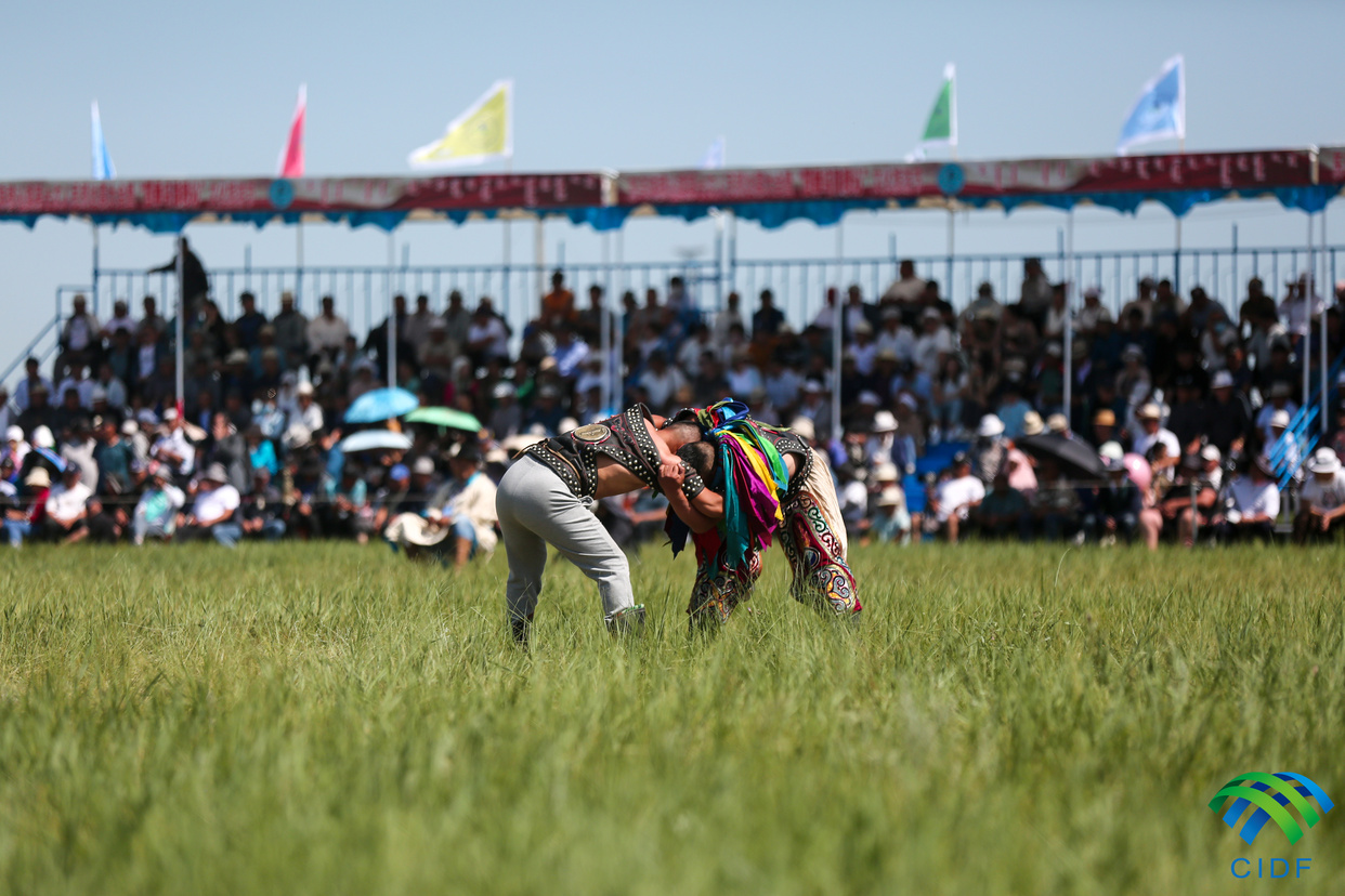 Wrestling Competition (Bökh) Held in Xilingol, Inner Mongolia_fororder_331A9951_副本