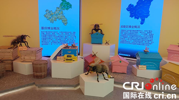 【原创】重庆市武隆区仙女山蜂疗中心正式揭牌_fororder_微信图片_20230720105419