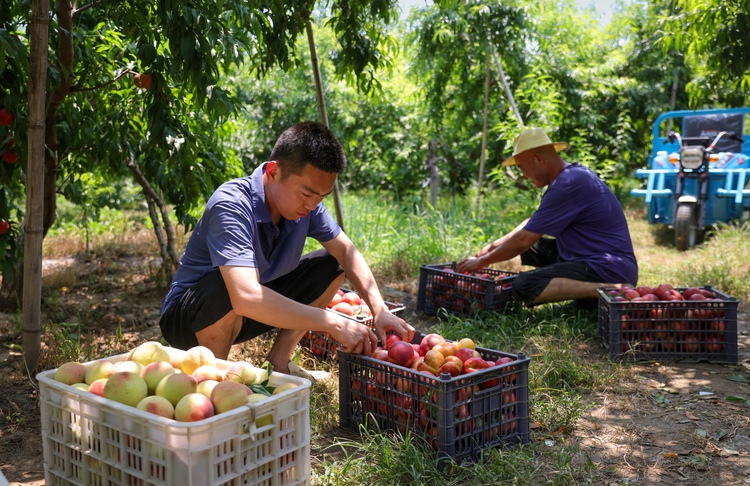 图片默认标题_fororder_005