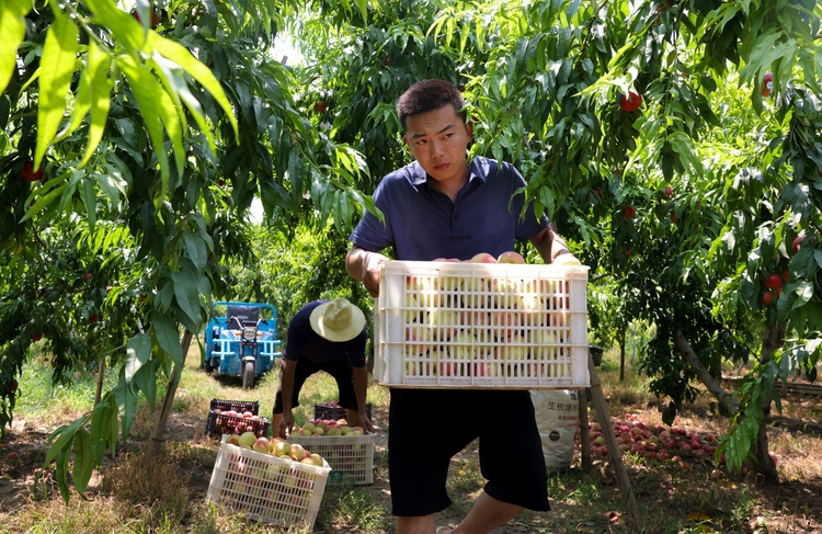 图片默认标题_fororder_006