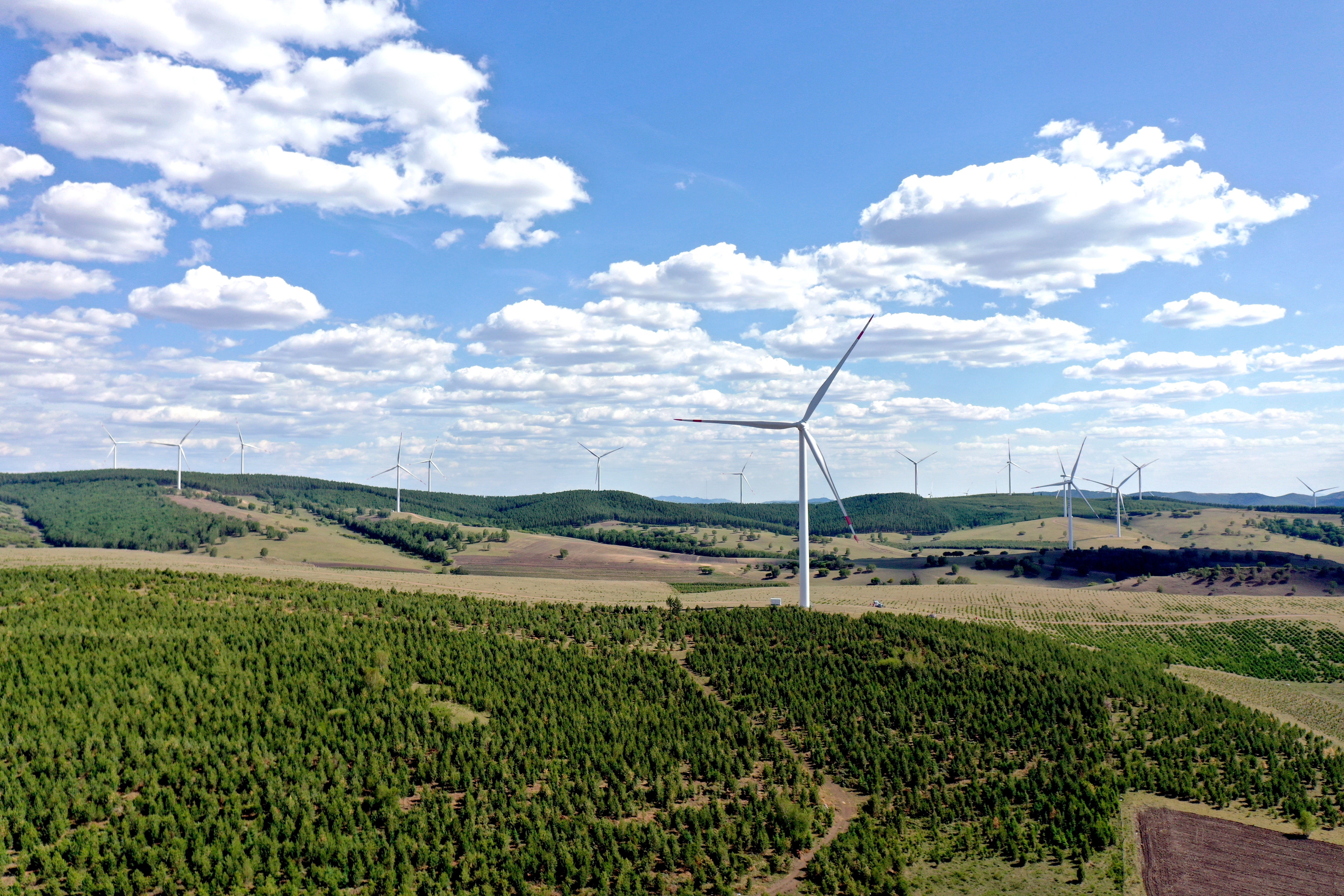 图片默认标题_fororder_1