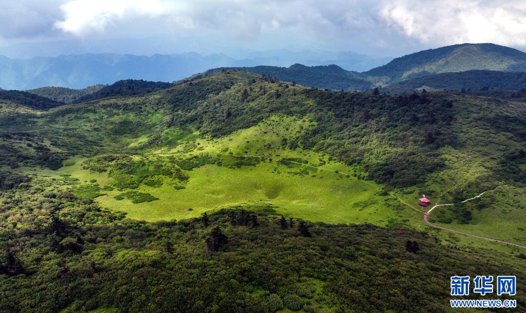 陕西留坝：紫柏山草甸醉游人