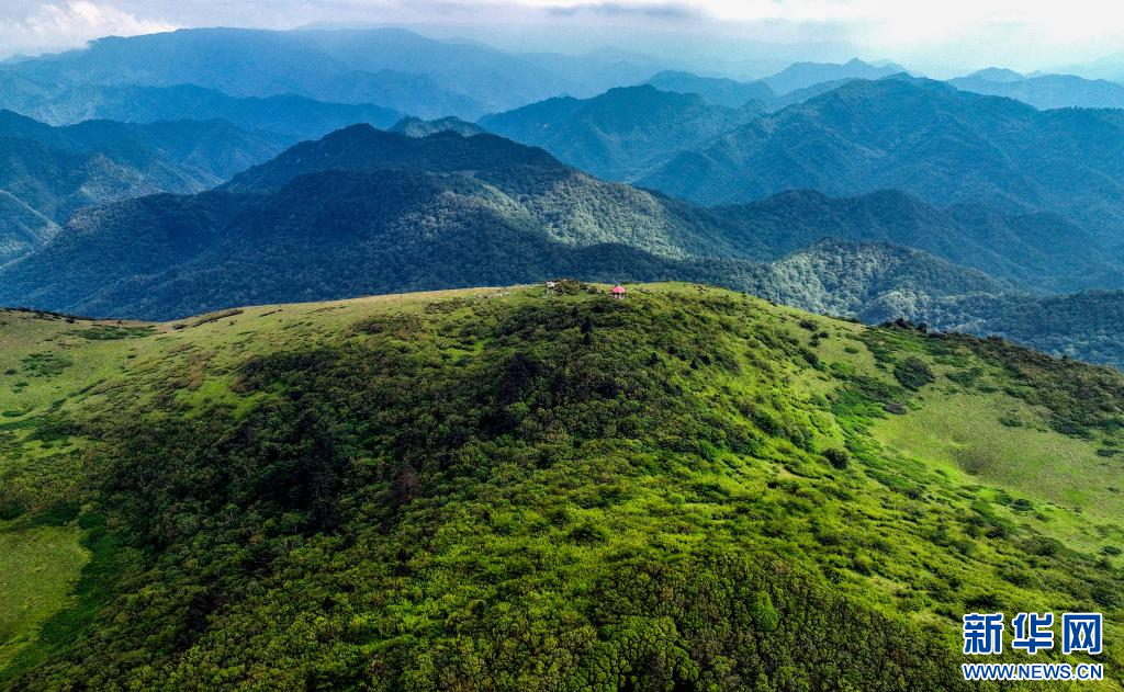 陕西留坝：紫柏山草甸醉游人