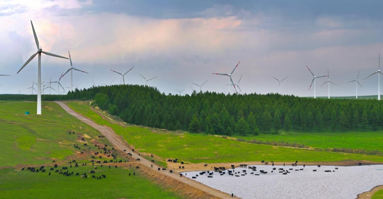 图片默认标题_fororder_4