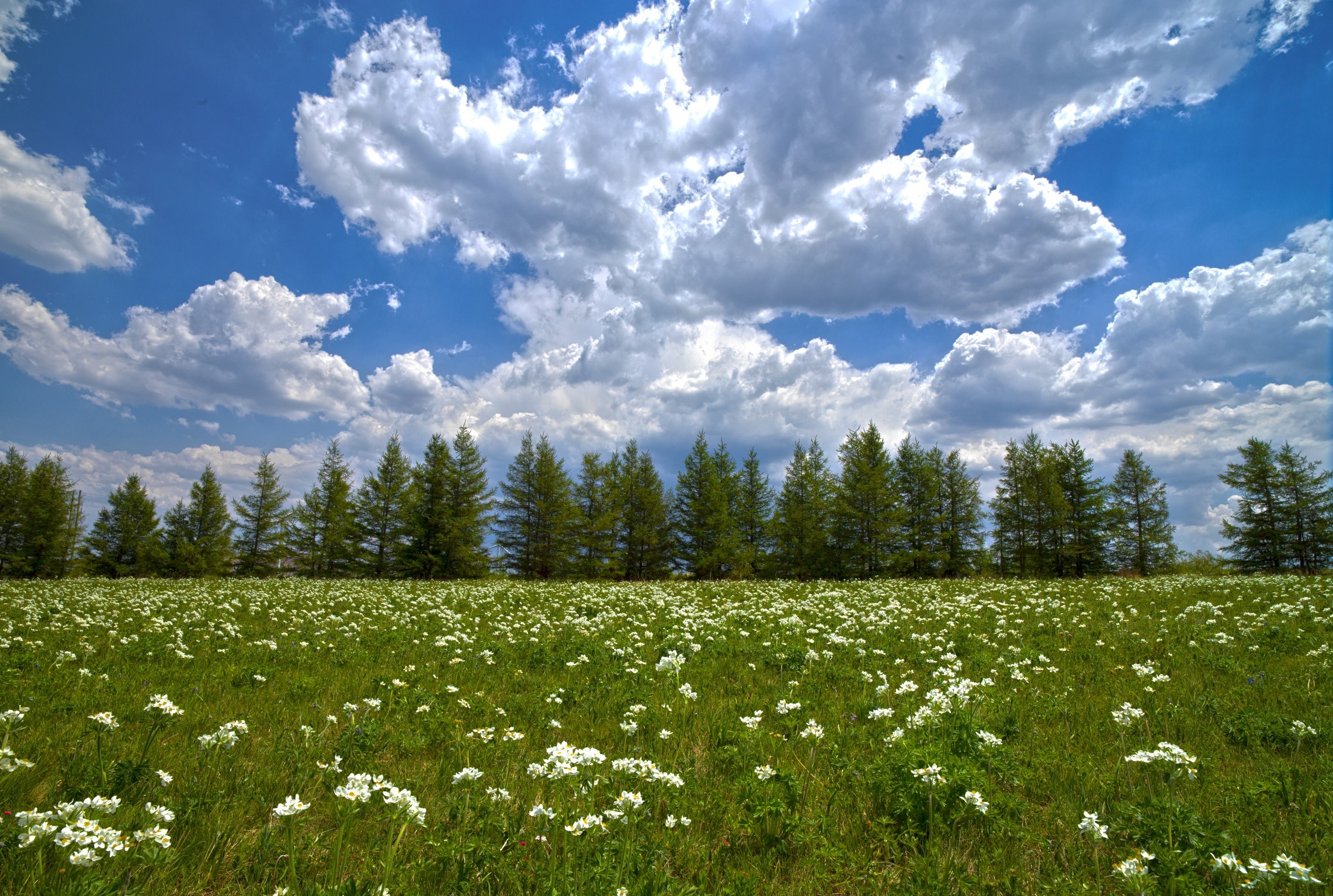 图片默认标题_fororder_2