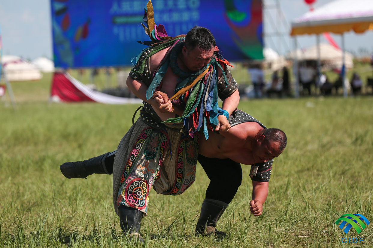 Wrestling Competition (Bökh) Held in Xilingol, Inner Mongolia_fororder_331A9395_副本