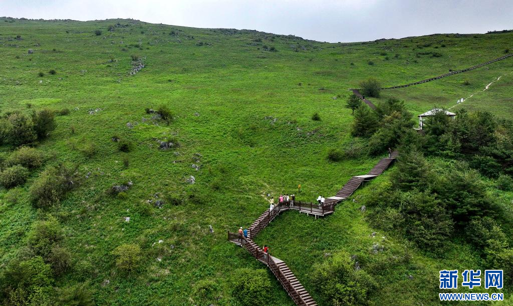 陕西留坝：紫柏山草甸醉游人