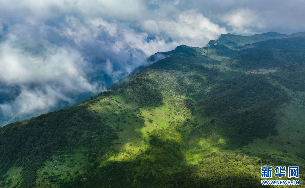 陕西留坝：紫柏山草甸醉游人