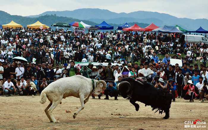 第八届凉山彝族火把节拉开帷幕(组图)_fororder_202307210016