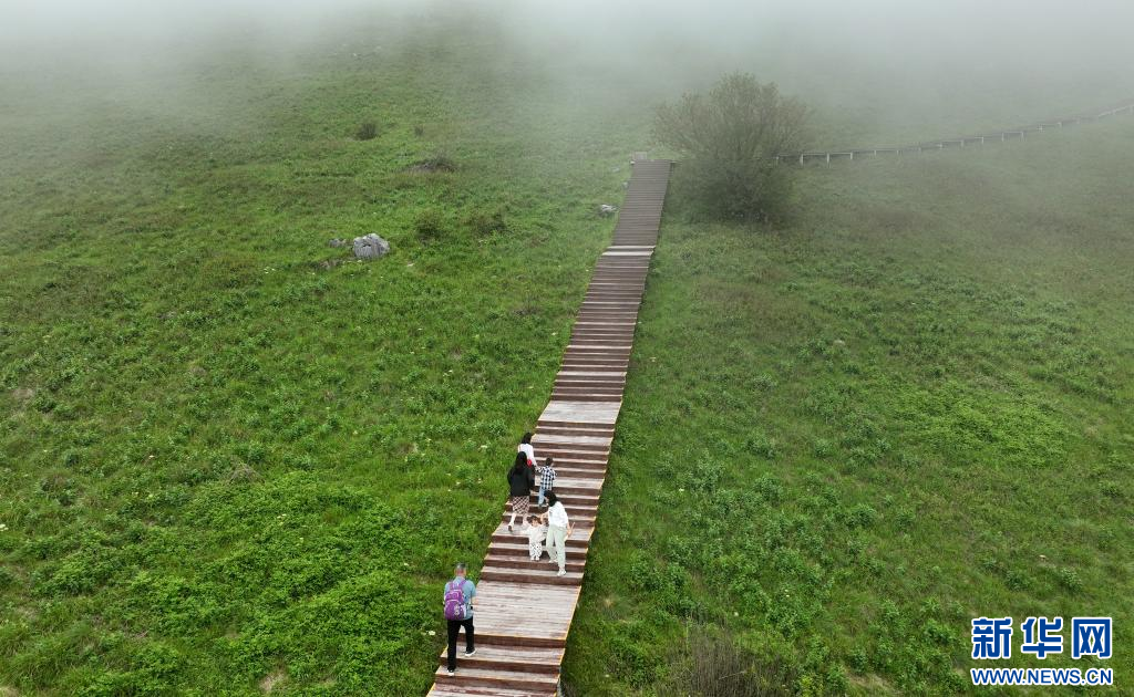 陕西留坝：紫柏山草甸醉游人