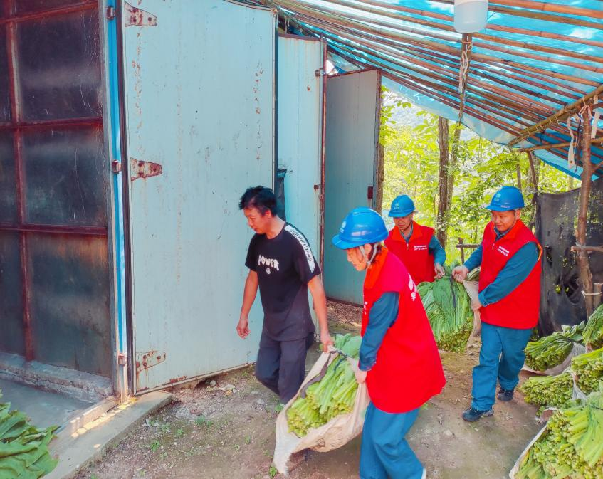 国网陕西电力：电亮乡村振兴路_fororder_图片1