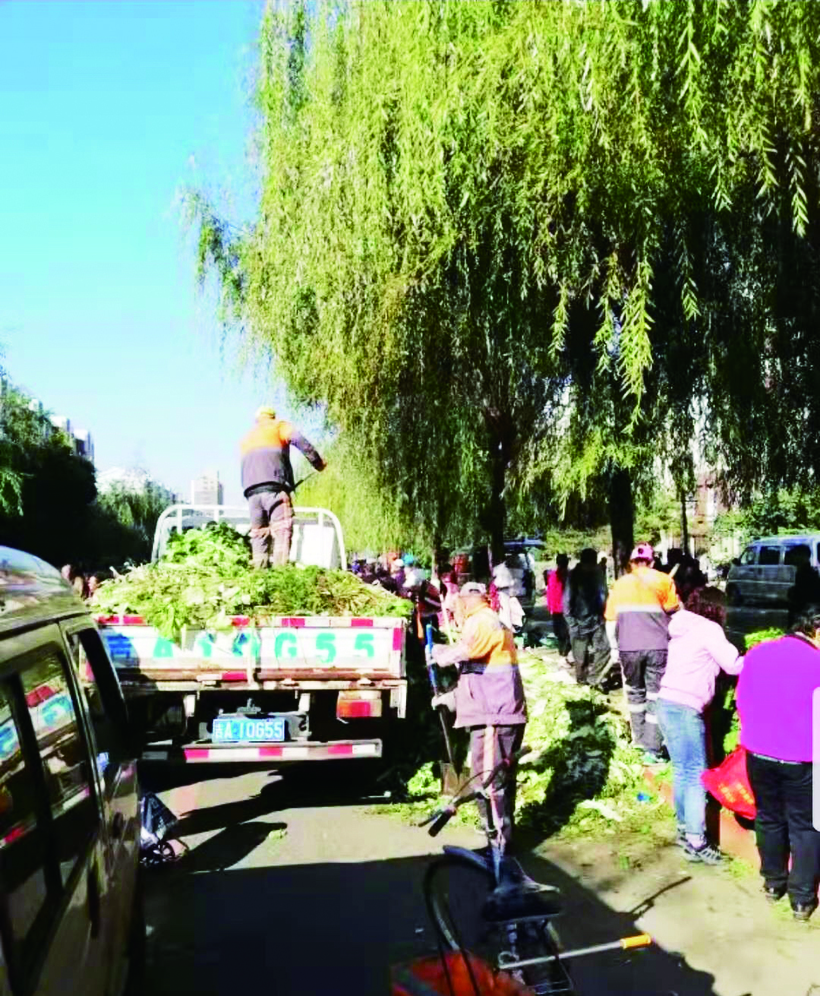 長春秋菜集中上市 共設立銷售點178處