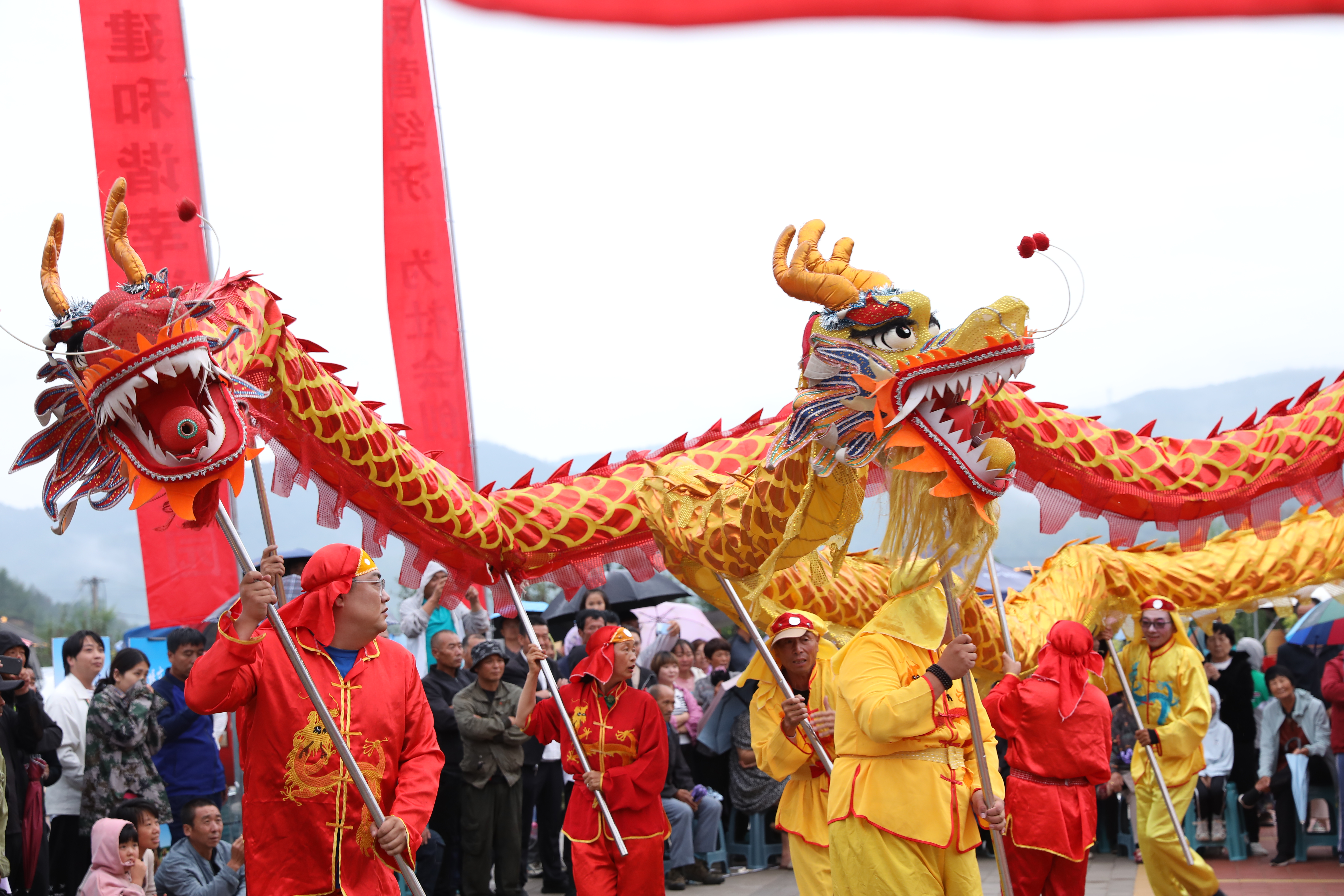 图片默认标题_fororder_舞龙表演  张丹摄.JPG