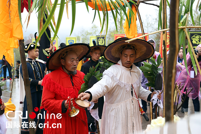 (已过审/焦点图)贵州百里杜鹃举行神秘的彝族“祭花神”仪式