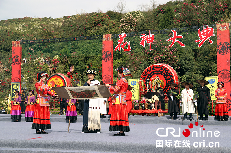 (已過審/焦點圖)貴州百里杜鵑舉行神秘的彝族“祭花神”儀式