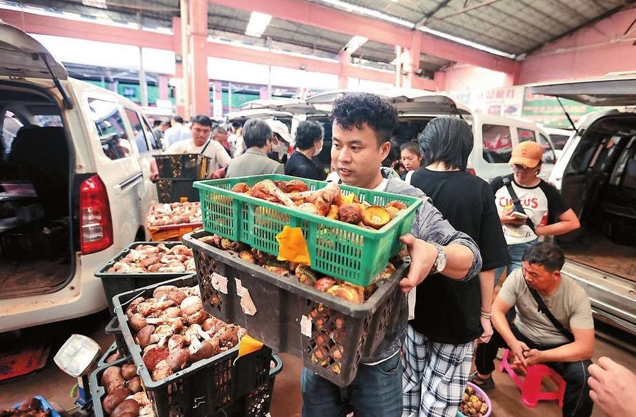 云南野生菌进入销售旺季_fororder_5c