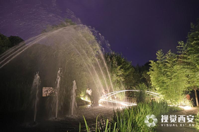 夏日避暑竹林雾海