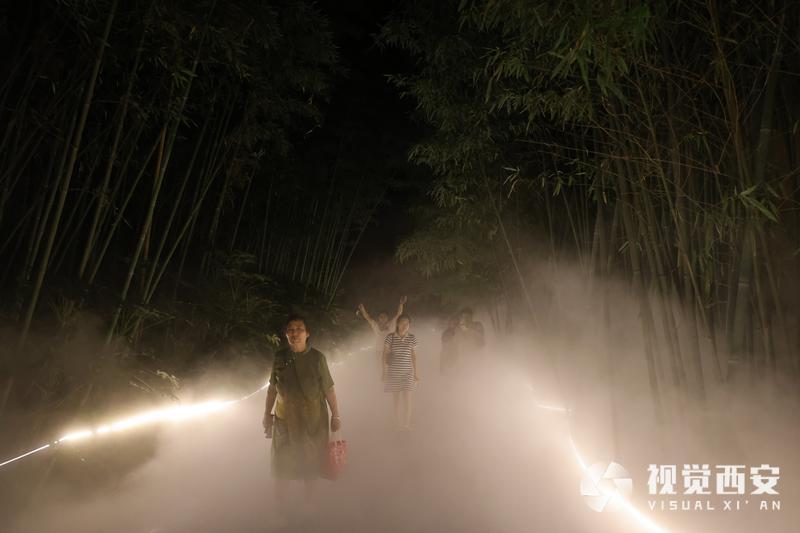 夏日避暑竹林雾海