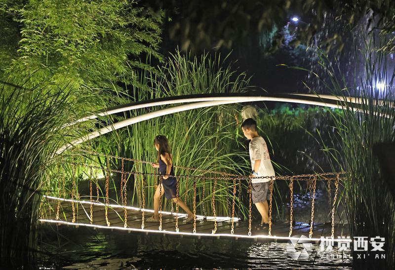 夏日避暑竹林雾海