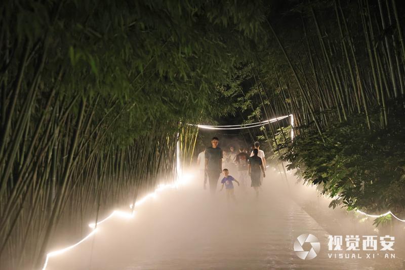 夏日避暑竹林雾海