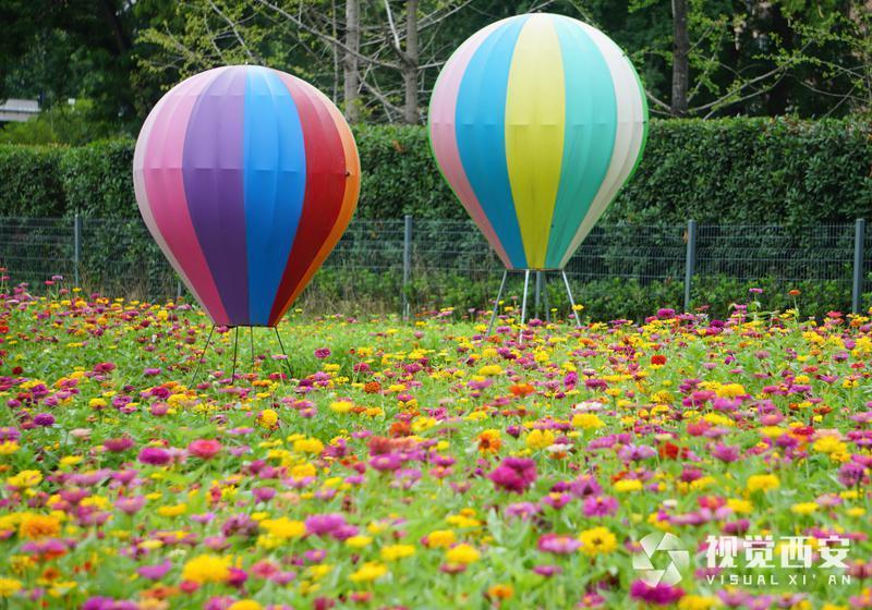 打卡兴庆宫公园花海