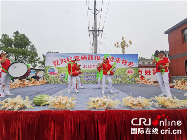 武汉蔡甸挖沟村：“富硒瓜”产销两旺 乡村振兴“甜蜜”升级_fororder_图片2