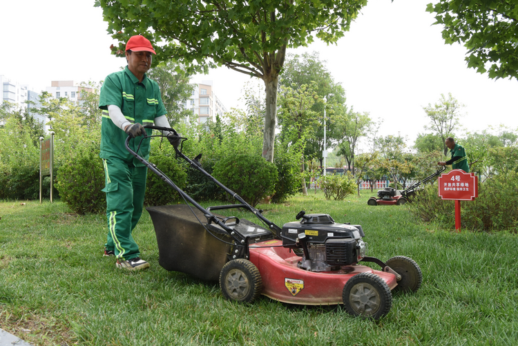 沧州经济开发区共享公园绿地让城市充满“幸福感”_fororder_图片17