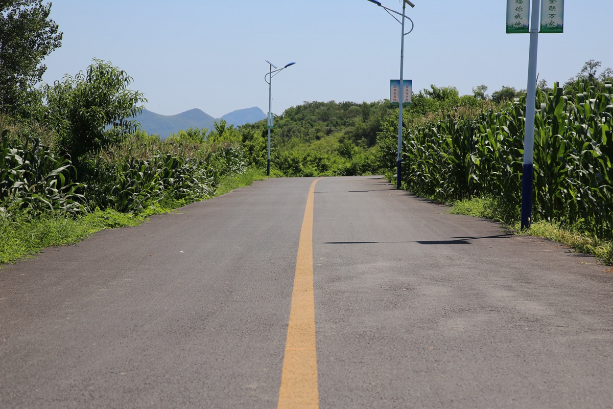 图片默认标题_fororder_黄山村宽广笔直的道路 摄影 宋王晗.JPG