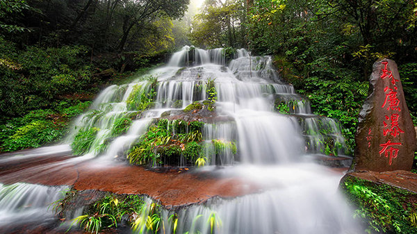 2023年雅安市暑期旅游产品及线路发布会举办_fororder_碧峰峡-供图-雅安市文化体育和旅游局