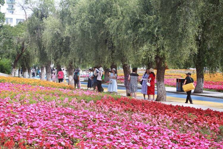 圖説延吉｜人民公園花團錦簇 每天萬名遊客進園打卡