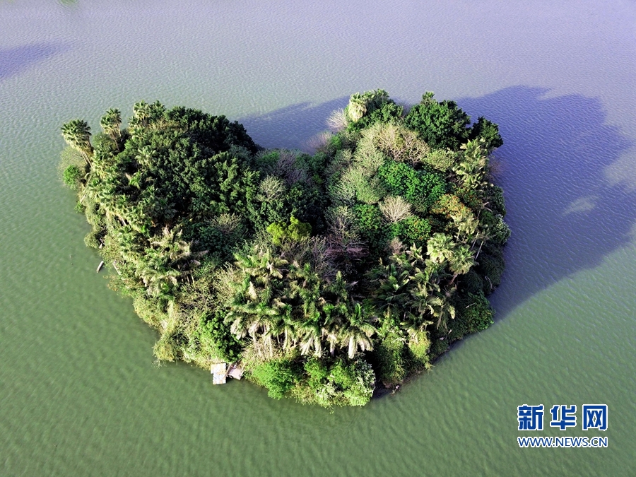 【焦点图】【移动版 轮播图】【滚动新闻】福建泉州：春到刺桐如画图