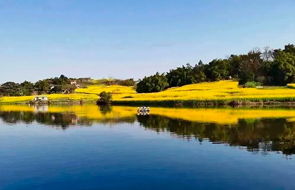 自貢貢井區：活力澎湃鄉野間 艾葉鎮六房村打造鄉村旅遊“好風景”_fororder_六房村美景