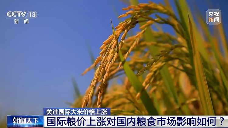 国际粮价持续上涨 对国内粮食市场有何影响？