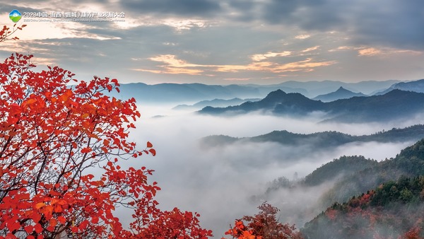 “氧氣滿滿”！康養晉城夢幻旅程，馬上出發！