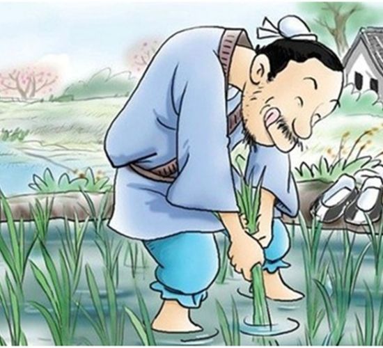 图片默认标题_fororder_ba