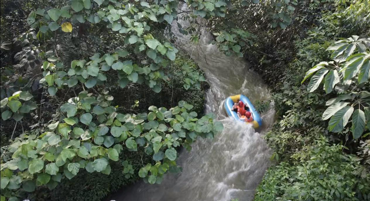 廣西百色:中伏消暑遊樂正當時 遊客穿越原始森林漂流覓清涼