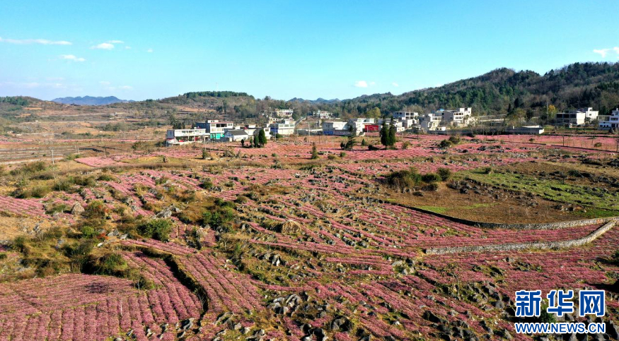 瞰毕节：从试验区到示范区 感受乌蒙山乡发展律动