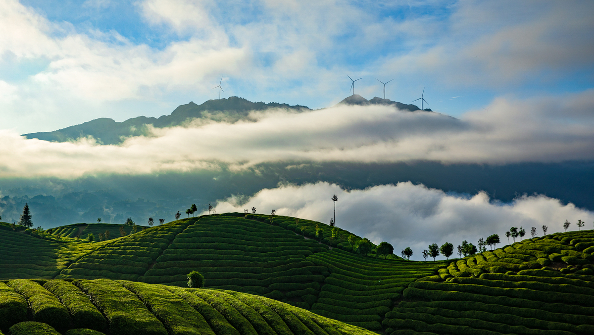 ？？_fororder_b95e8edec096e9cbd2fdd0a3dcf5bb2