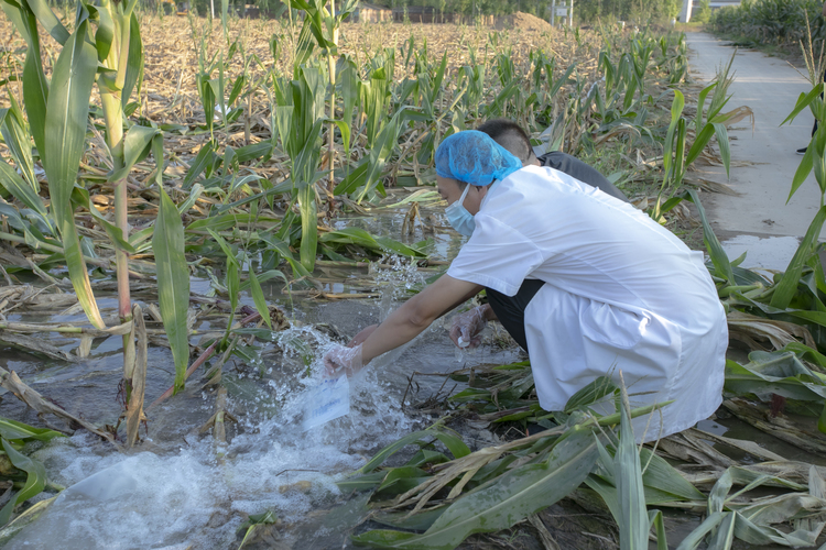 图片默认标题_fororder_004